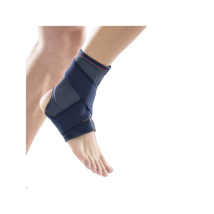 BANITEX CHEVILLERE T4